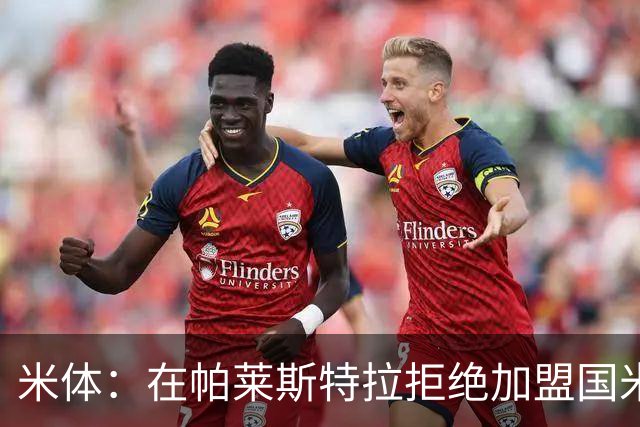 米体：在帕莱斯特拉拒绝加盟国米后，球队将目光转向小将哈莱利